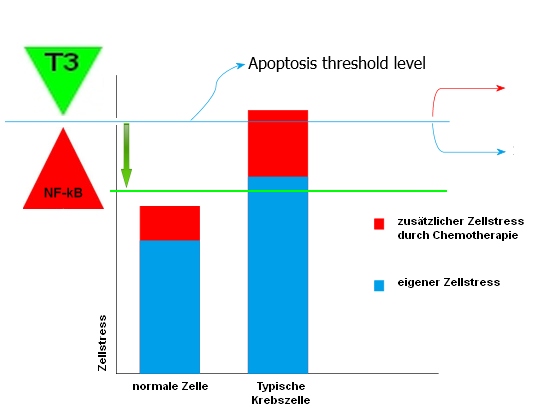 Tocotrienol lowers the Apoptosis threshhold level