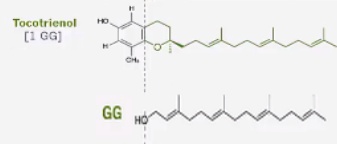 Molekülstruktur GG